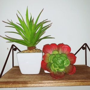 Pair of fake succulents